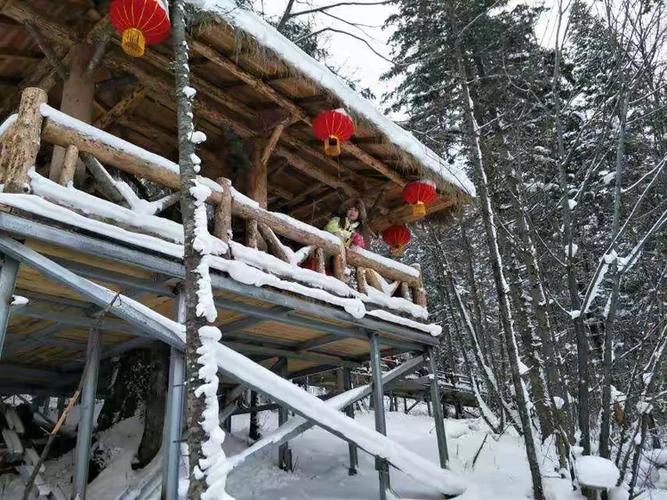 登高远眺美嗨了雪乡第一天住宿穿越大秃顶子野雪过腰深的大雪今年雪