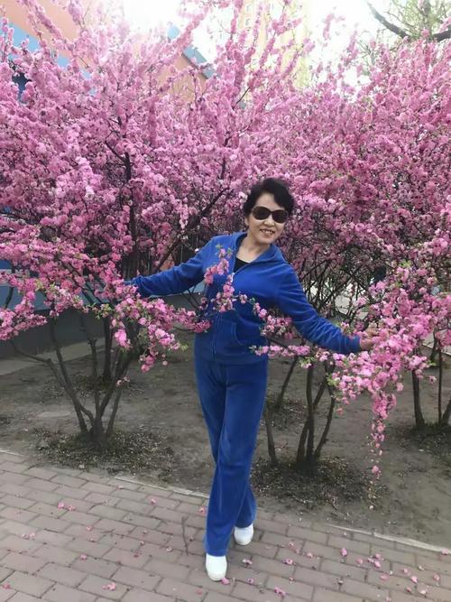 2018年5月又到一年花开时